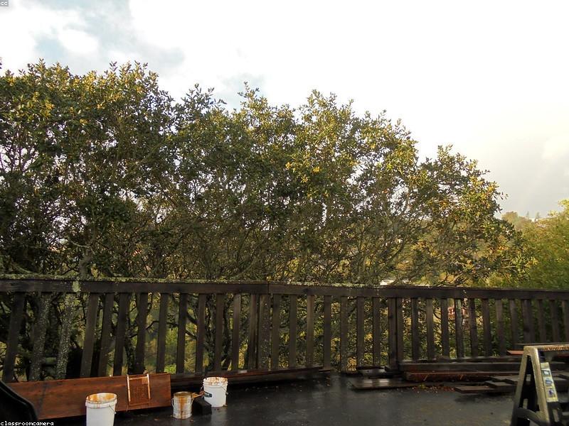 Interior White Emulsion Paint 20L