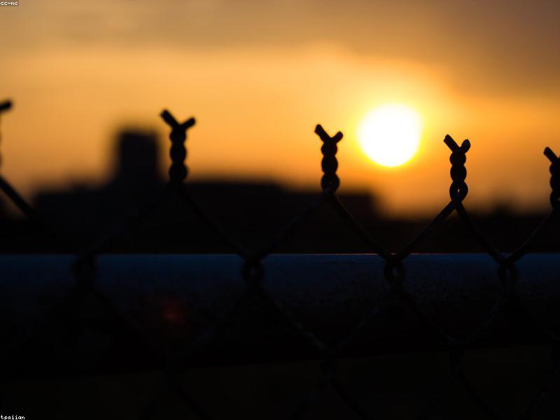 Steel Wire Mesh 6x2m