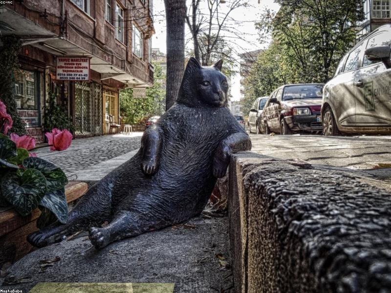 AAC Aerated Block 60x20x20