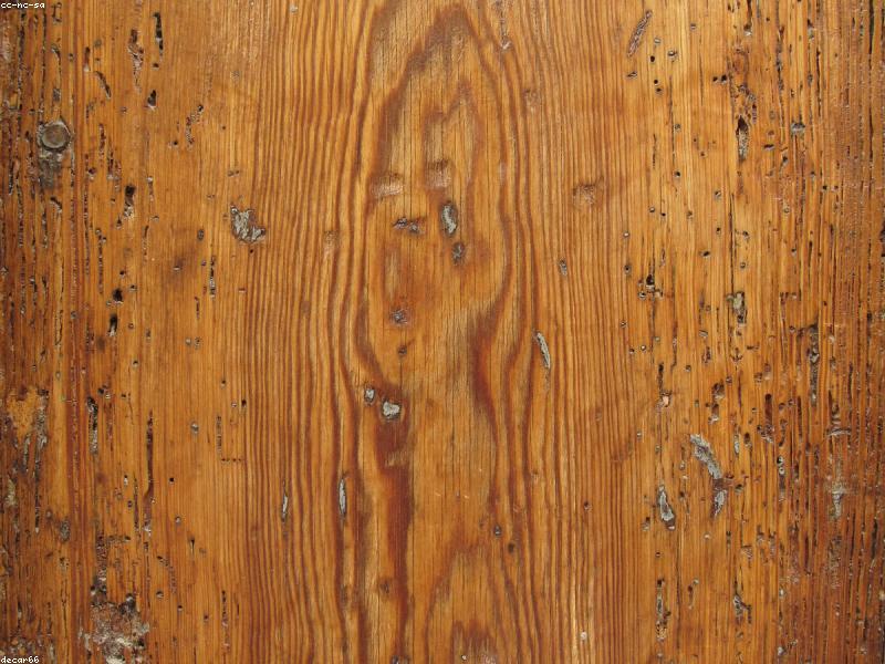 Timber Pine 4x2 inch 3m